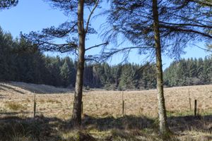 Photo 36- click for photo gallery